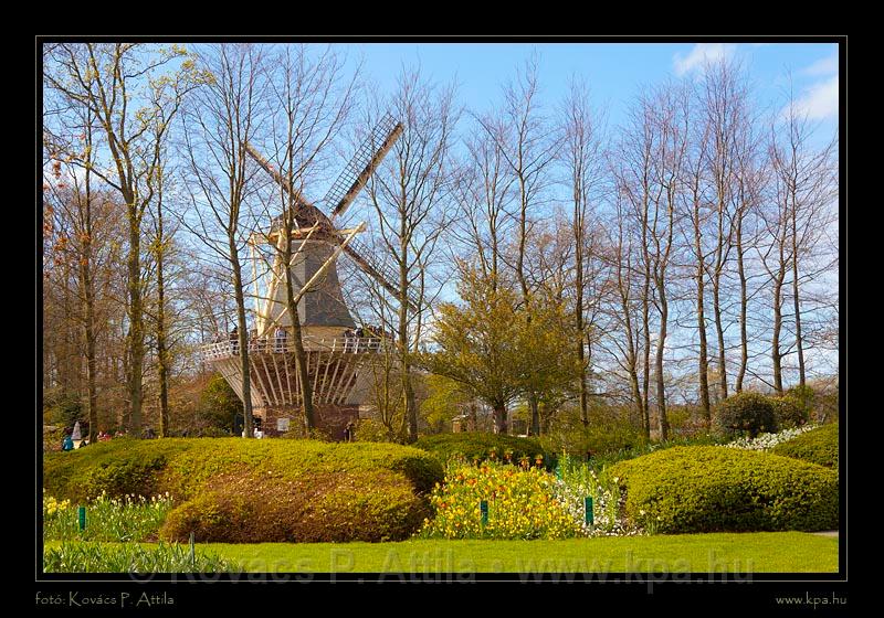 Keukenhof Hollandia 101.jpg